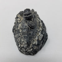 Edmond Wolf Original Inuit Carved Soapstone Sculpture Eskimo in Kayak Seal 4 in