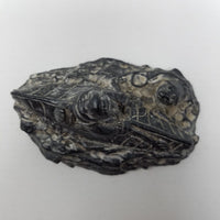 Edmond Wolf Original Inuit Carved Soapstone Sculpture Eskimo in Kayak Seal 4 in