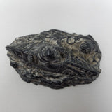 Edmond Wolf Original Inuit Carved Soapstone Sculpture Eskimo in Kayak Seal 4 in