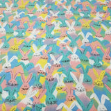 Easter Bunny Flannel Fabric Pastels 2 Yards Material Cartoons All over Print