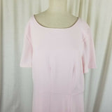 Ann Taylor Factory Fit & Flare Pale Pink Chiffon Twirl Dress Womens 16 NWT $110