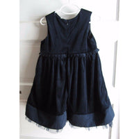 Little Bitty Embroidered Floral Velvet Pleated Tulle Party Dress Girls 4T Navy