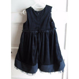 Little Bitty Embroidered Floral Velvet Pleated Tulle Party Dress Girls 4T Navy