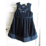 Little Bitty Embroidered Floral Velvet Pleated Tulle Party Dress Girls 4T Navy