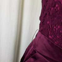 The Limited Lace Satin Plunge VBack Fit & Flare Cocktail Purple Dress Womens 10