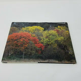 Toscana Il paesaggio e i segni dell'uomo Hardcover Book Photography Coffee Table