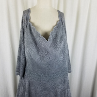 Jade by Jasmine Silver Lace Full Twirl Formal Maxi Dress Womens 20 Plus Size