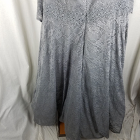 Jade by Jasmine Silver Lace Full Twirl Formal Maxi Dress Womens 20 Plus Size